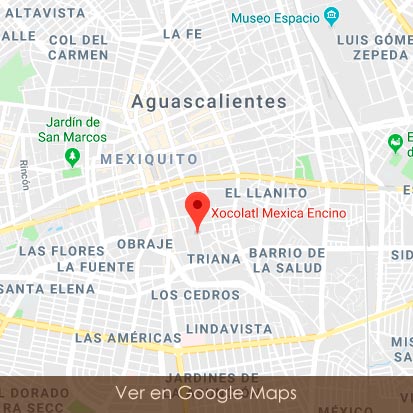 Mapa Google Maps